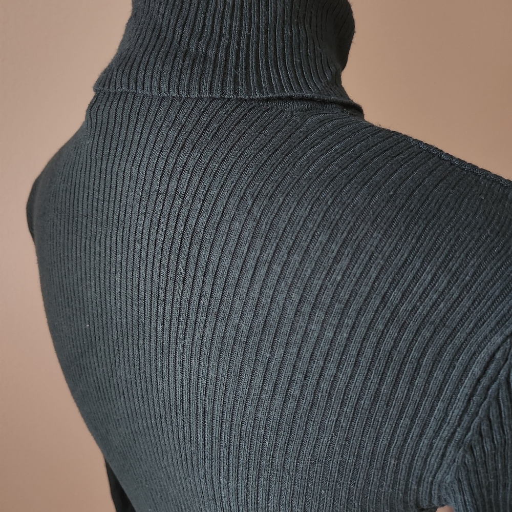 Express Turtleneck - Picture 5 of 6